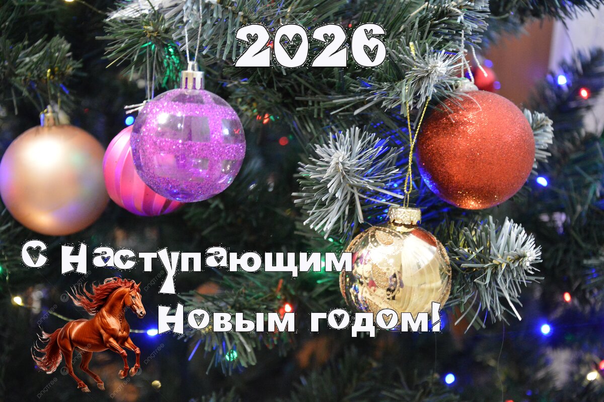 *** - Надежда Куркина 