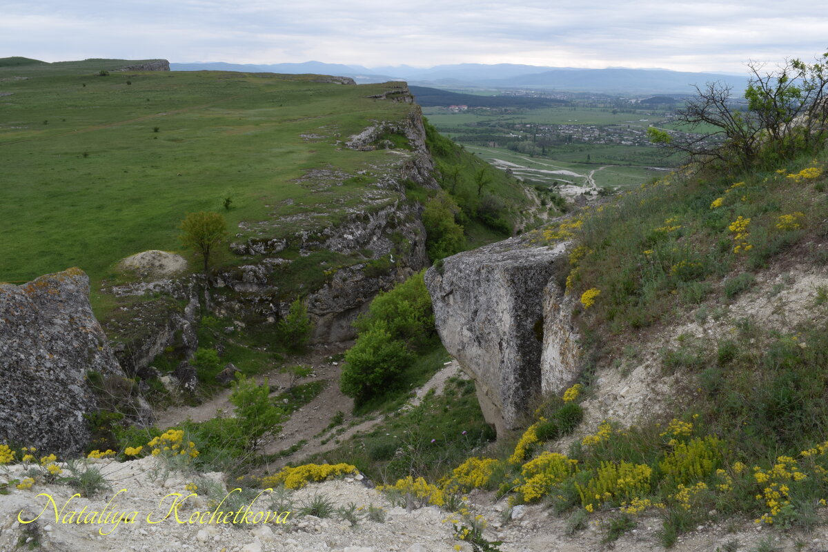 Природа Крыма - Amazing Cosmea