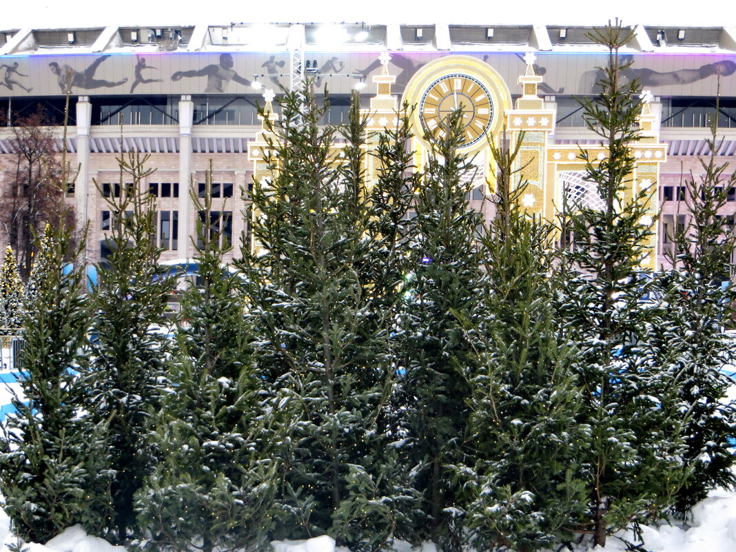 Новый Год нп за лесом... - Александр Чеботарь