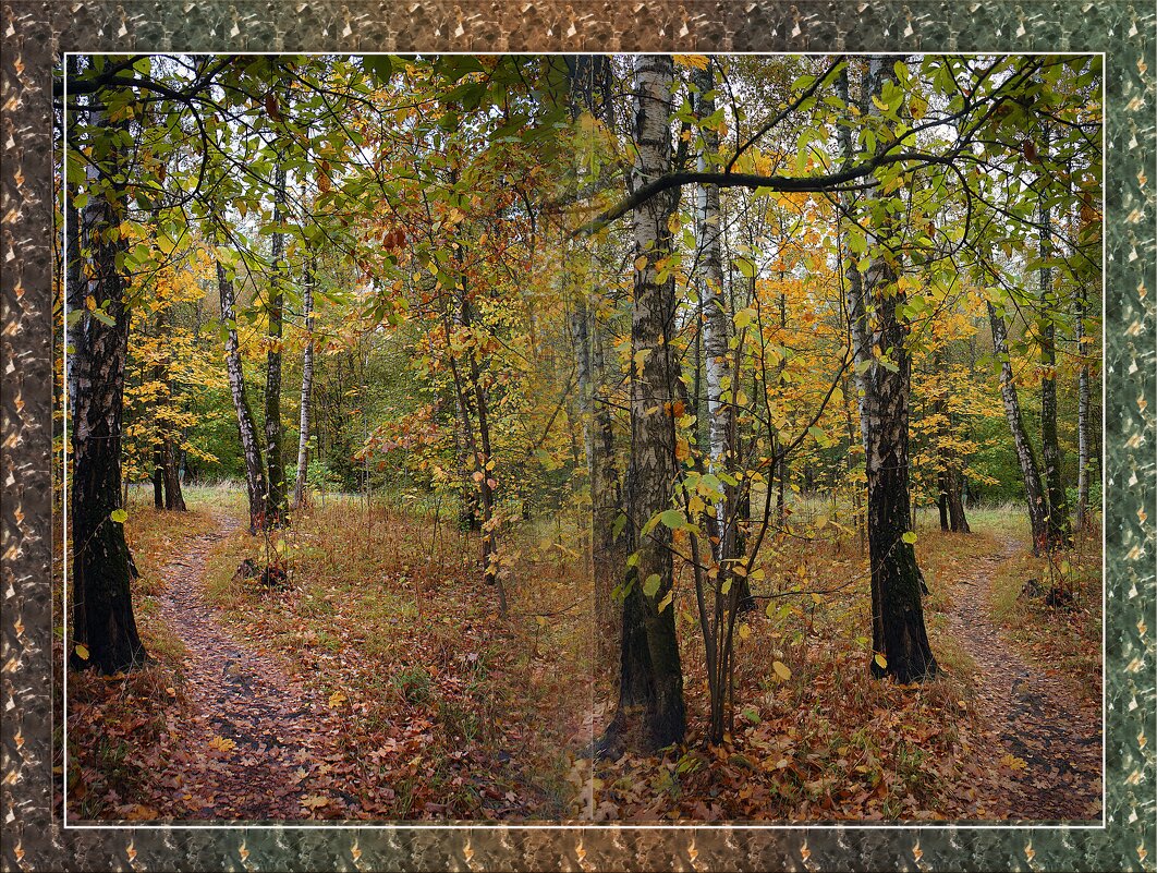 В лесопарке - Владимир Кроливец