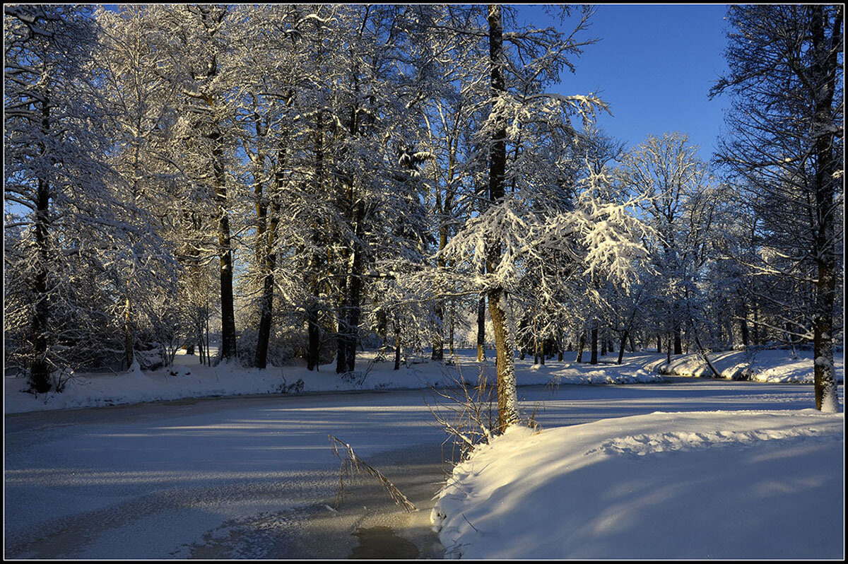 *** - Aleksandr Gal *** - Aleksandr Gal