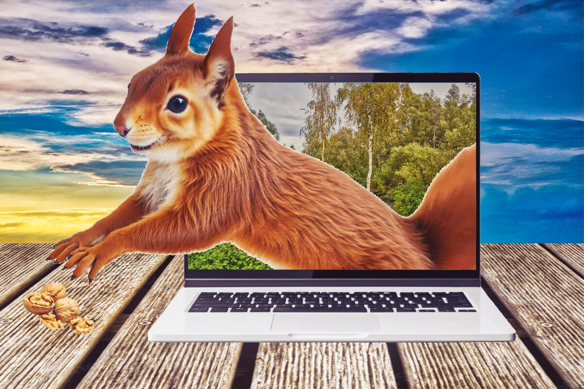 (°-°) - Jakob Dick