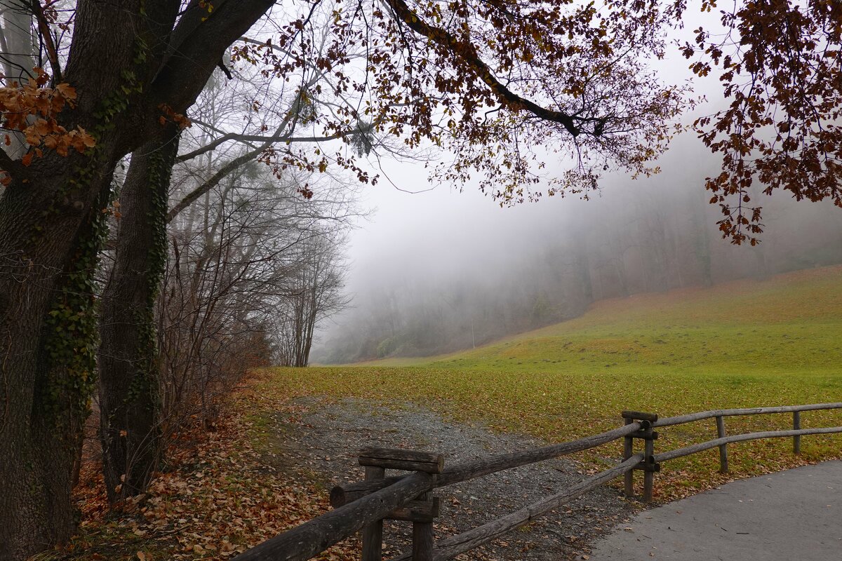 .декабрьский туман..... - Галина 