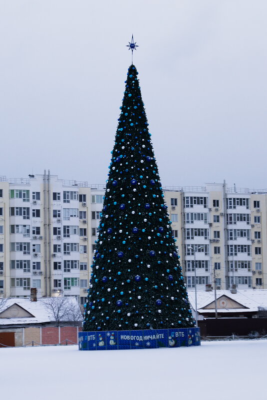 Елочка ))) - Giant Tao /