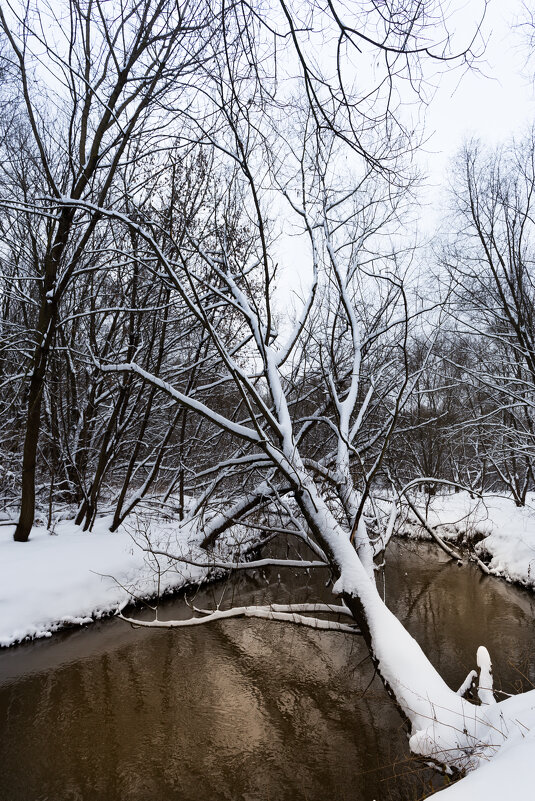 Сетунь - Игорь Шевченко