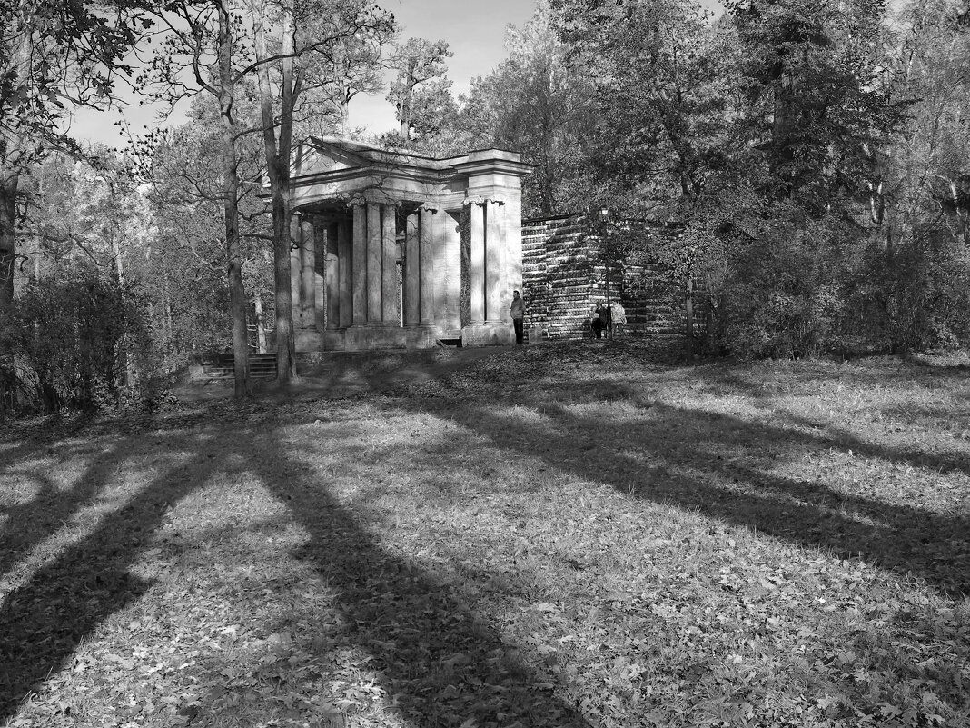 В Гатчинском парке - Наталья В Гатчинском парке - Наталья