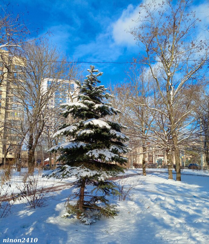 Зима - Нина Бутко