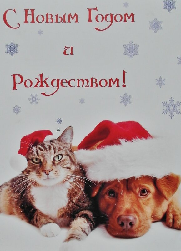 с праздником РОССИЯ - Владимир 