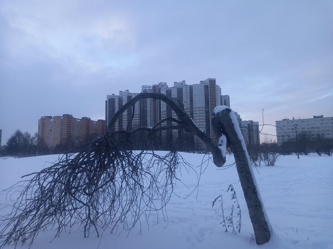 Рассвет - Сапсан 