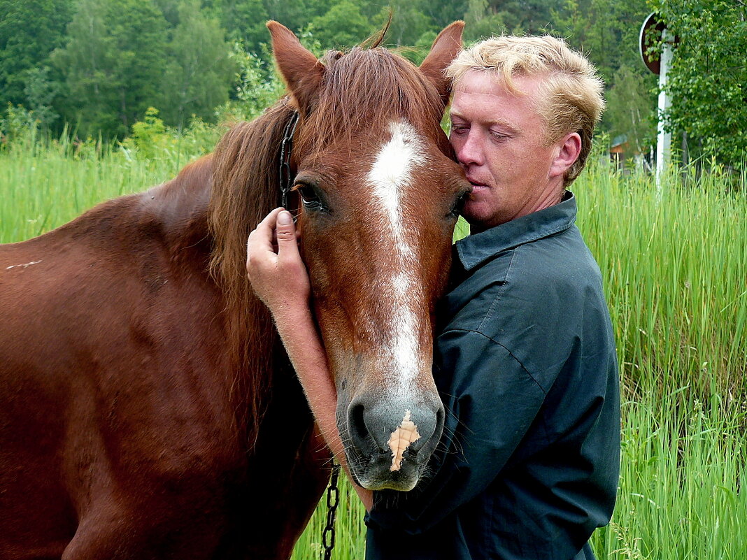 Мой верный друг Всем счастливого Нового Года - олег свирский Мой верный друг Всем счастливого Нового Года - олег свирский