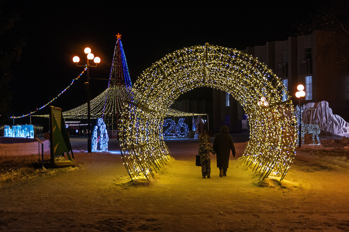 *** - Виктор Иванович Чернюк