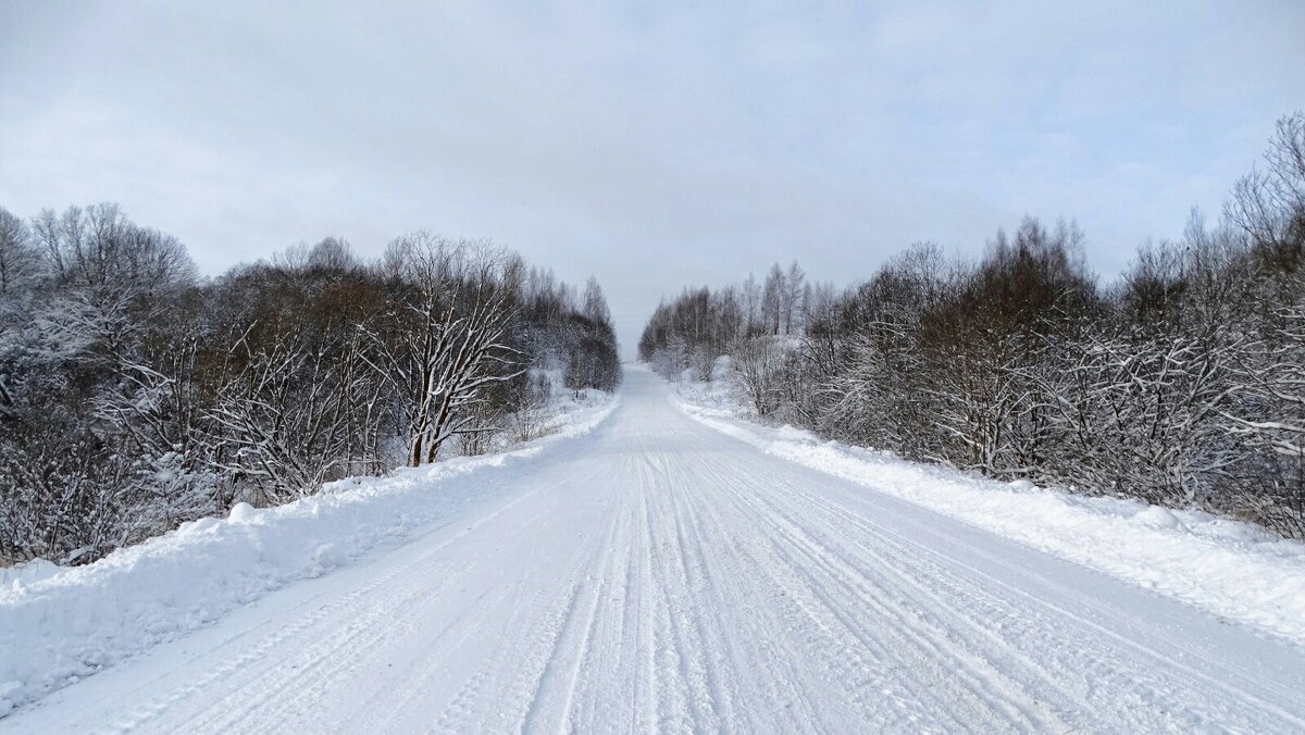 Дорога в новый 2026 -й год. - Милешкин Владимир Алексеевич Дорога в новый 2026 -й год. - Милешкин Владимир Алексеевич