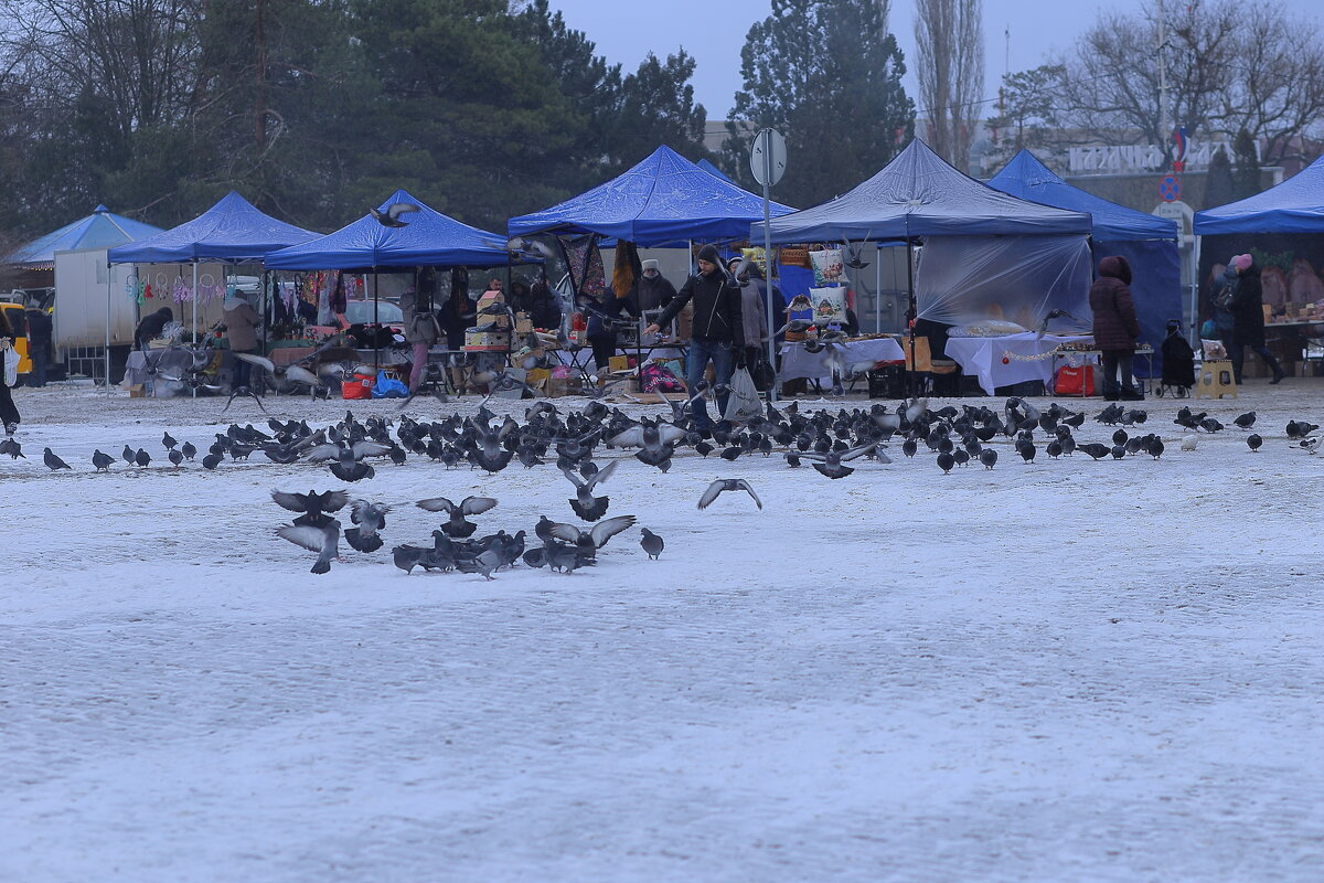 На ярмарке - Юрий Гайворонскiий