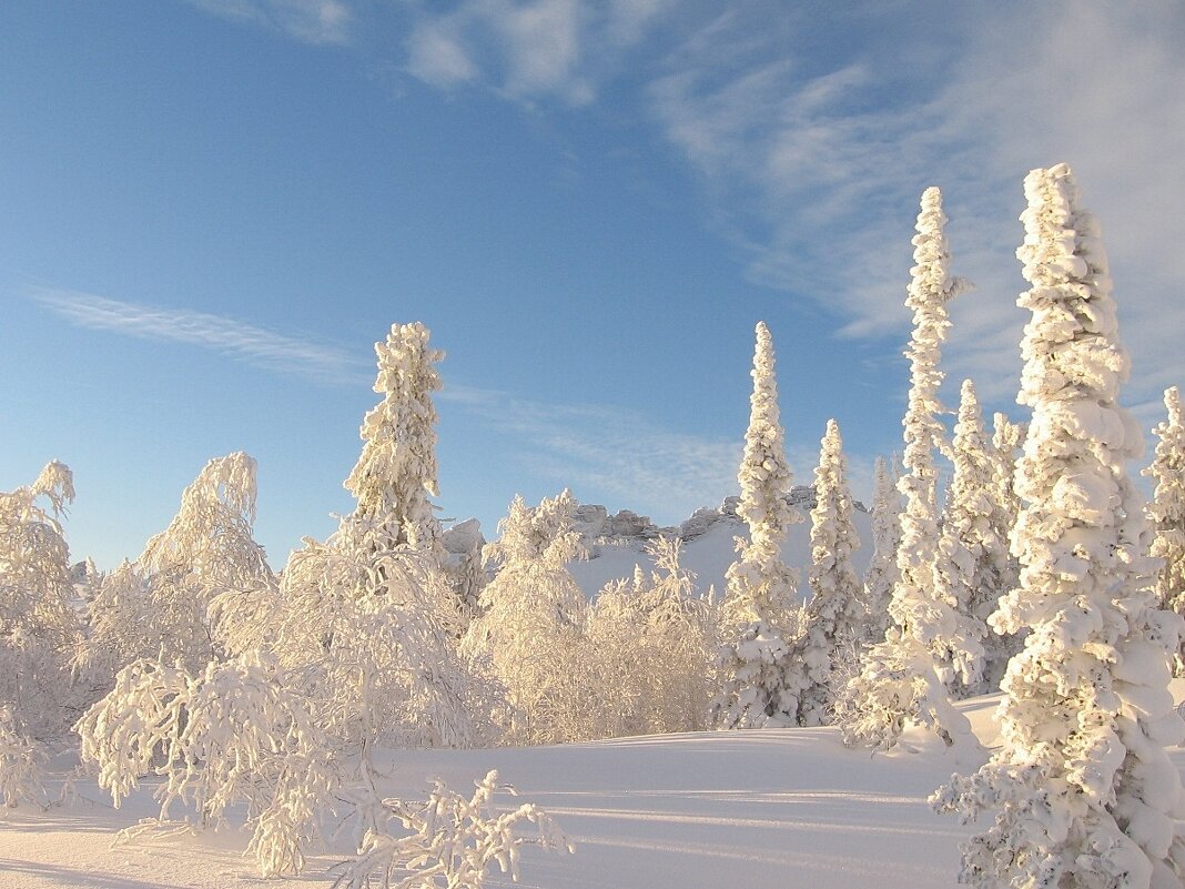 С Новым годом, друзья! - Галина Нестратова