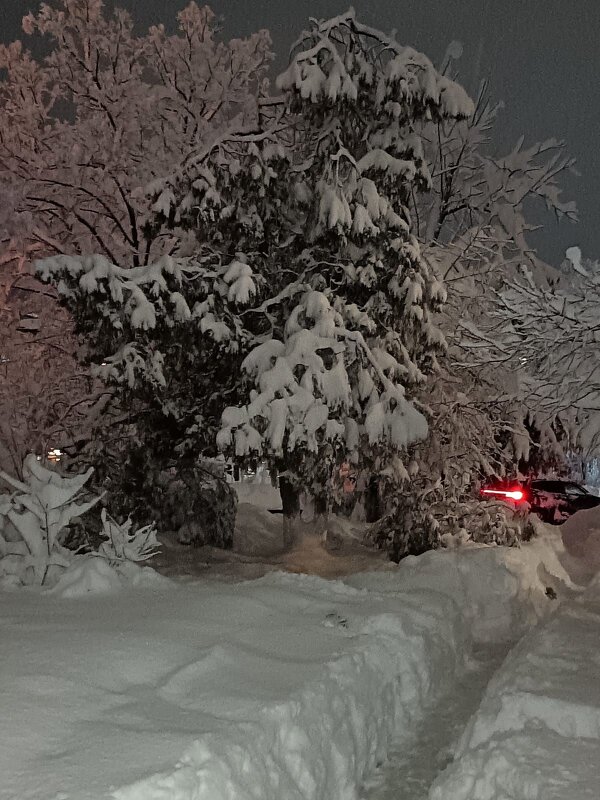 Сюрпризы матушки зимы ! - tatyana 