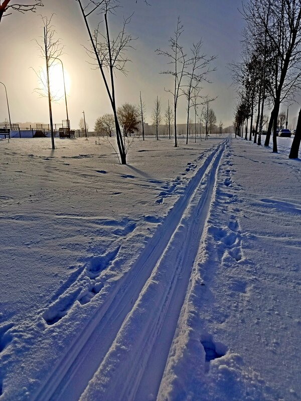 Лыжники долго не спят! - Vladimir Semenchukov