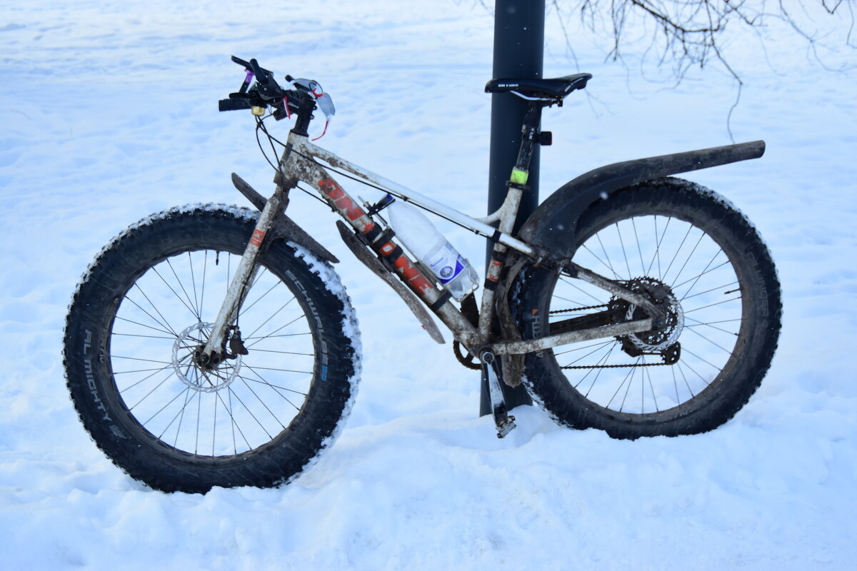 Байк фотографа. - Наталья Вязигина