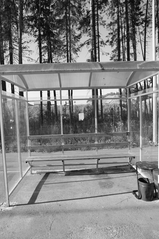 Фотография - Денис Безногов