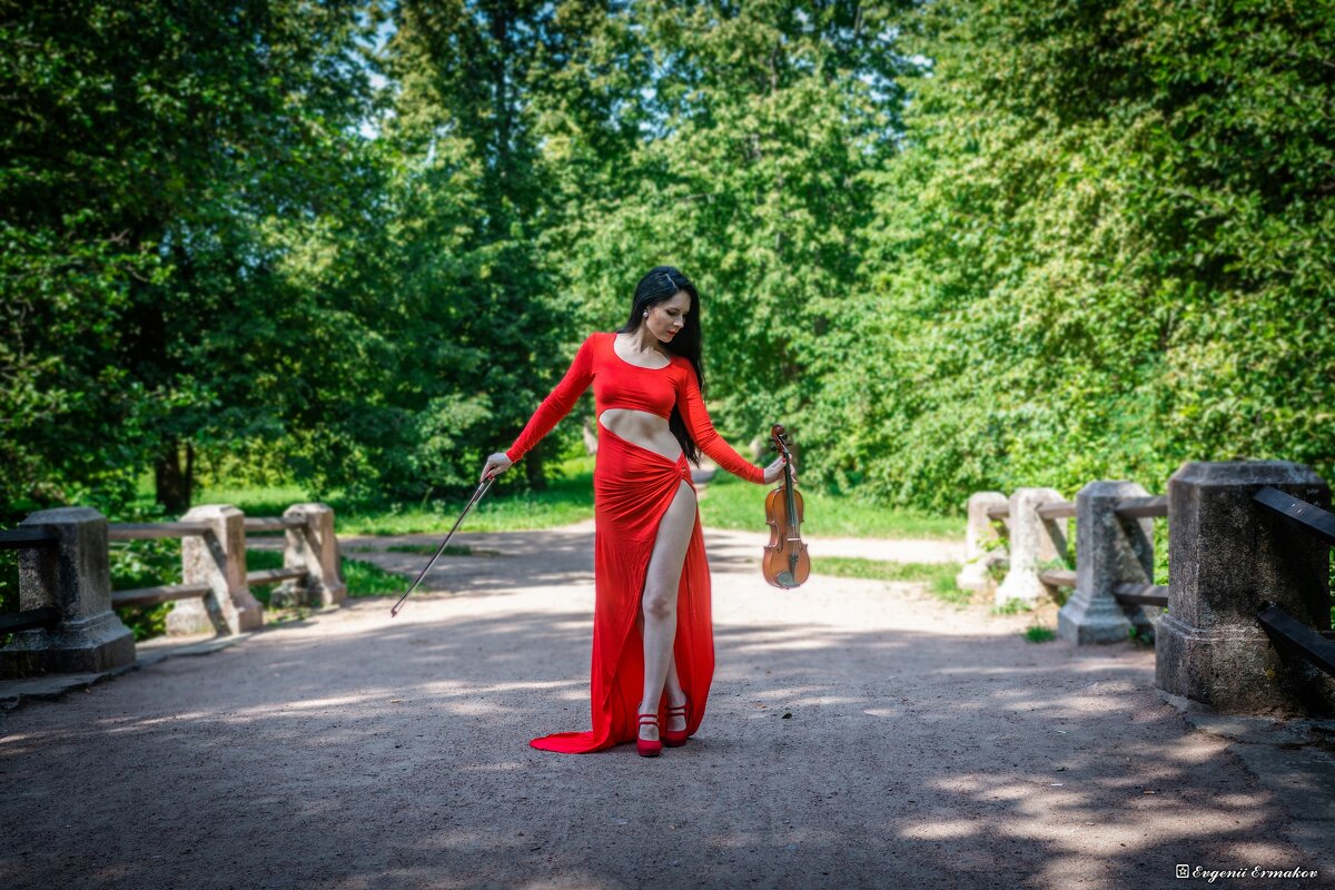 Финальный аккорд - Евгений Ермаков