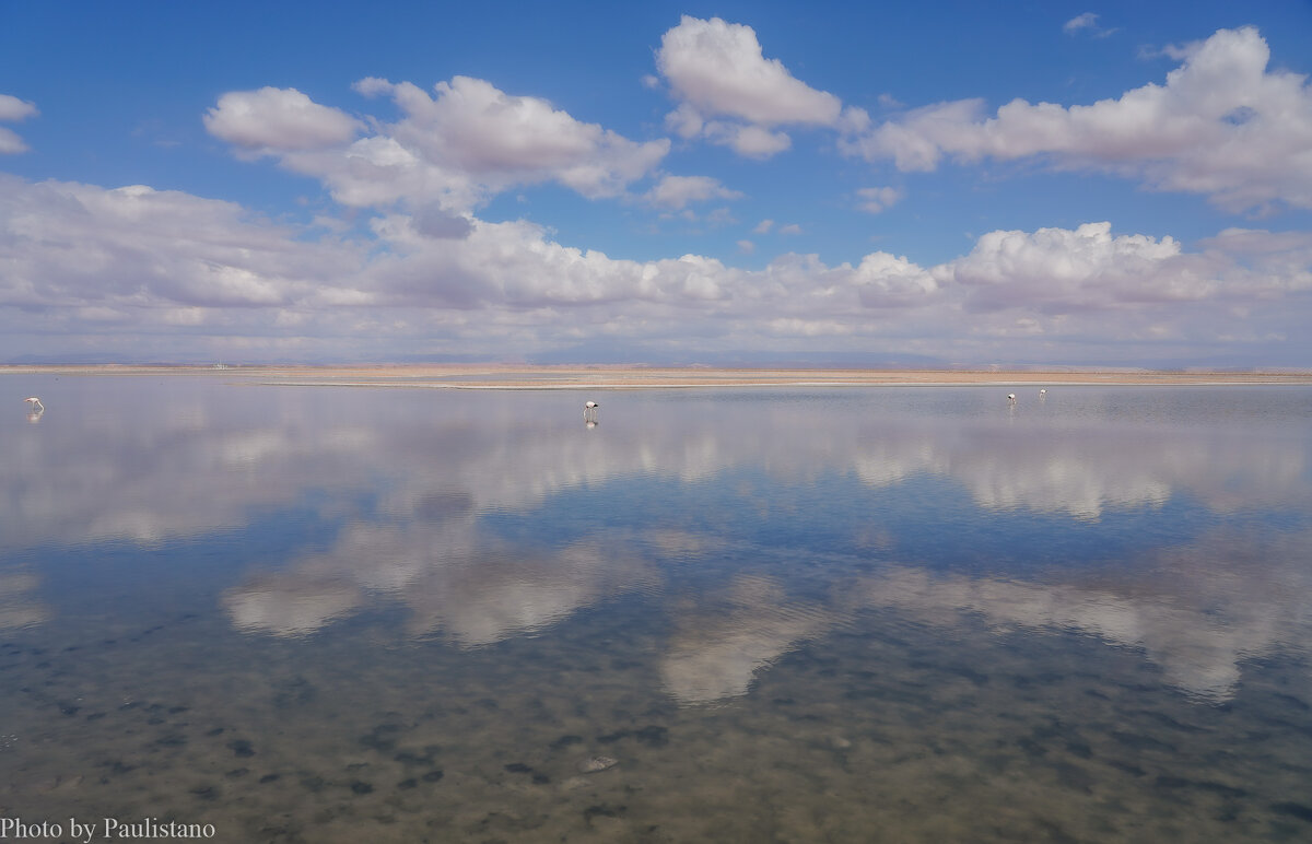 В краю солёных озёр... - Владимир Жданов