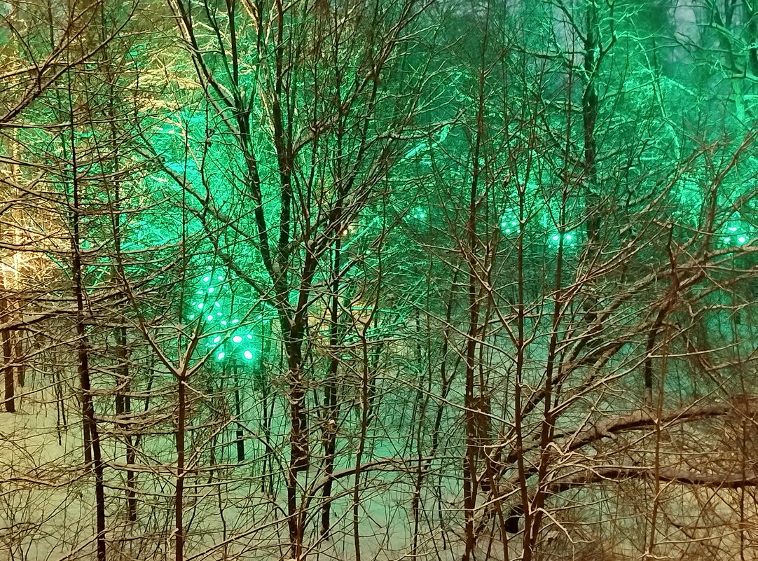 И лес декабрьский зеленеет... - Александр Чеботарь