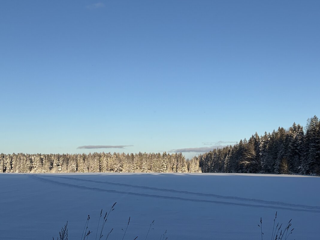 Уголок России - Ольга Савельева 