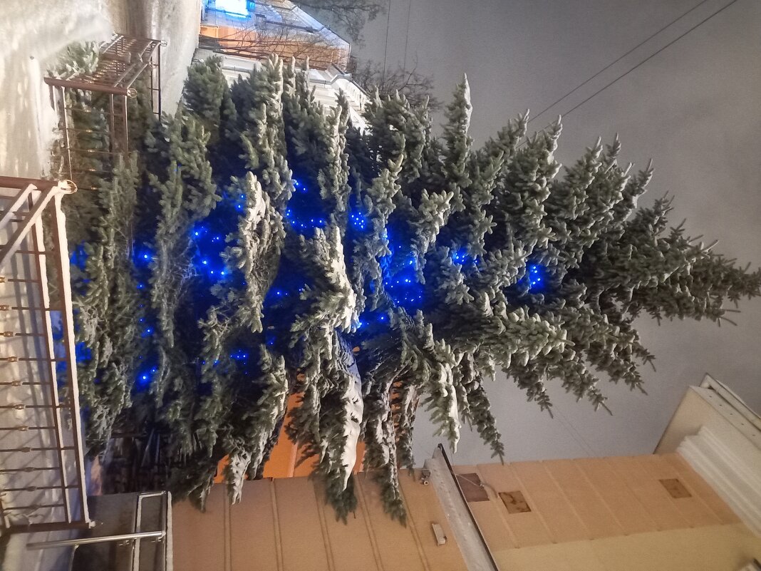 Ёлка - Сапсан 