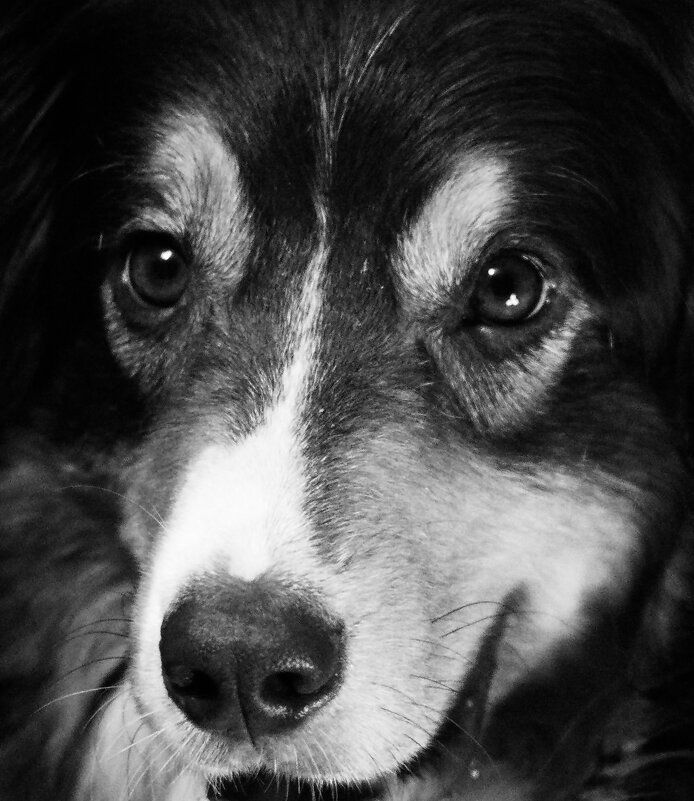 нос в фокусе) - Артём 