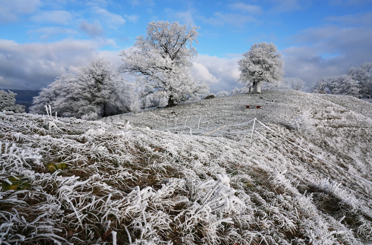 winter Märchen - Elena Wymann