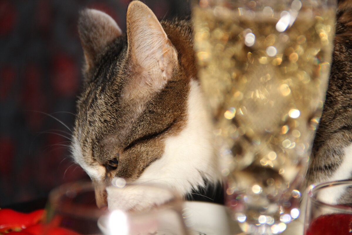 Новый год со всех сторон... - ii_ik Иванов