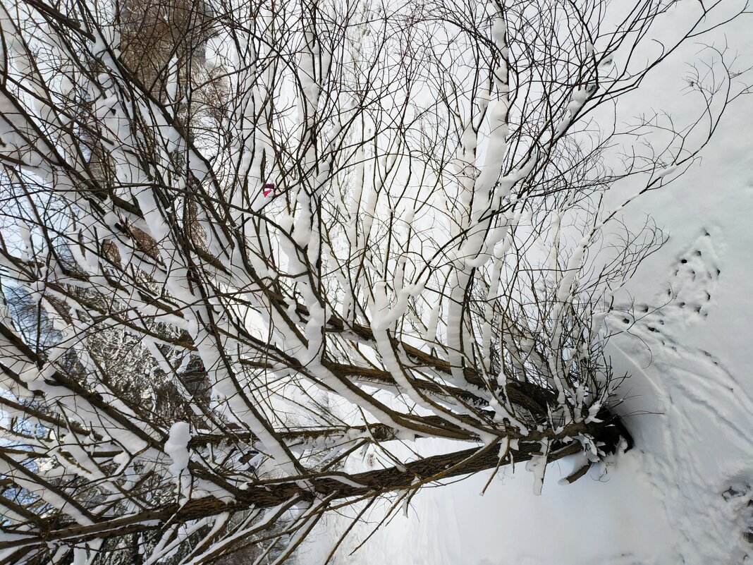 Вступаю в 2026-й - Андрей Лукьянов