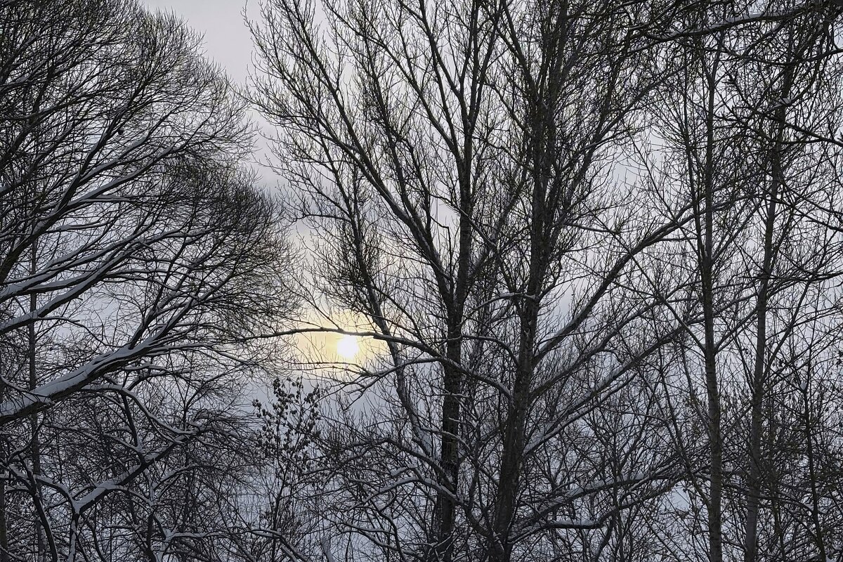 Солнце декабря - Мария - Maria