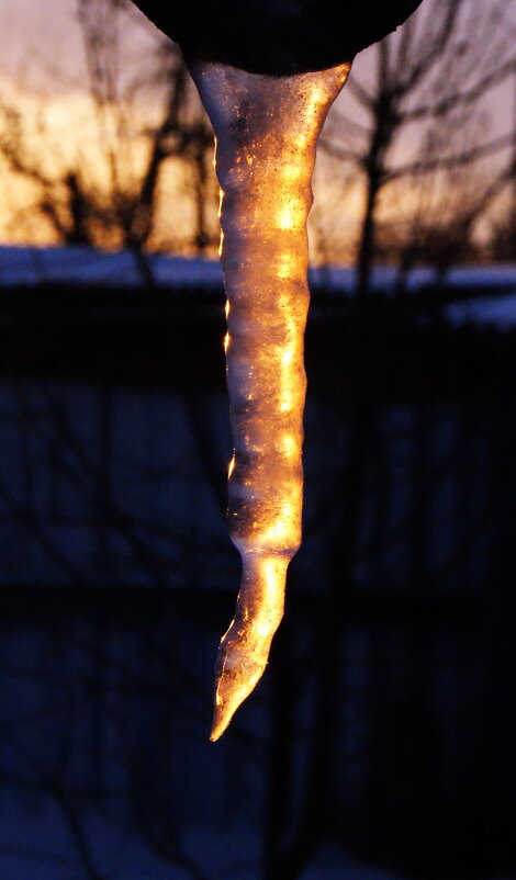 На восходе. - сергей ермошкин