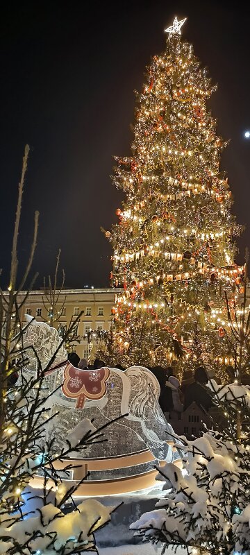 Главная ёлка Петербурга. - Ольга 