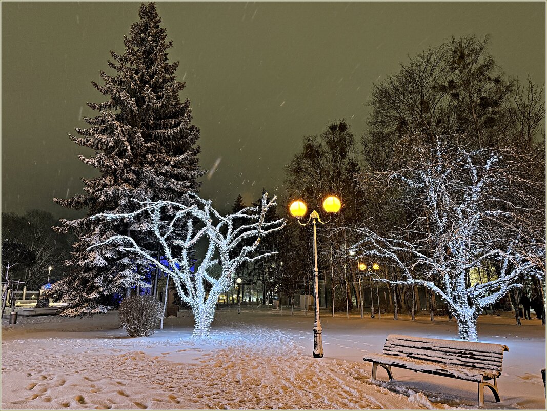 Новогодний сквер. - Валерия Комова