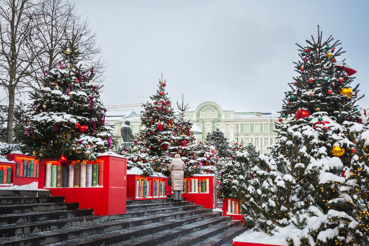 Ёлки и книги. - Nyusha .