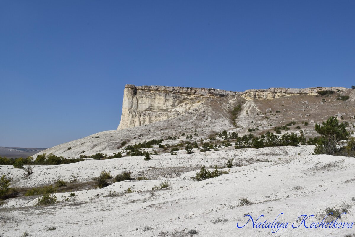 Природа Крыма - Amazing Cosmea
