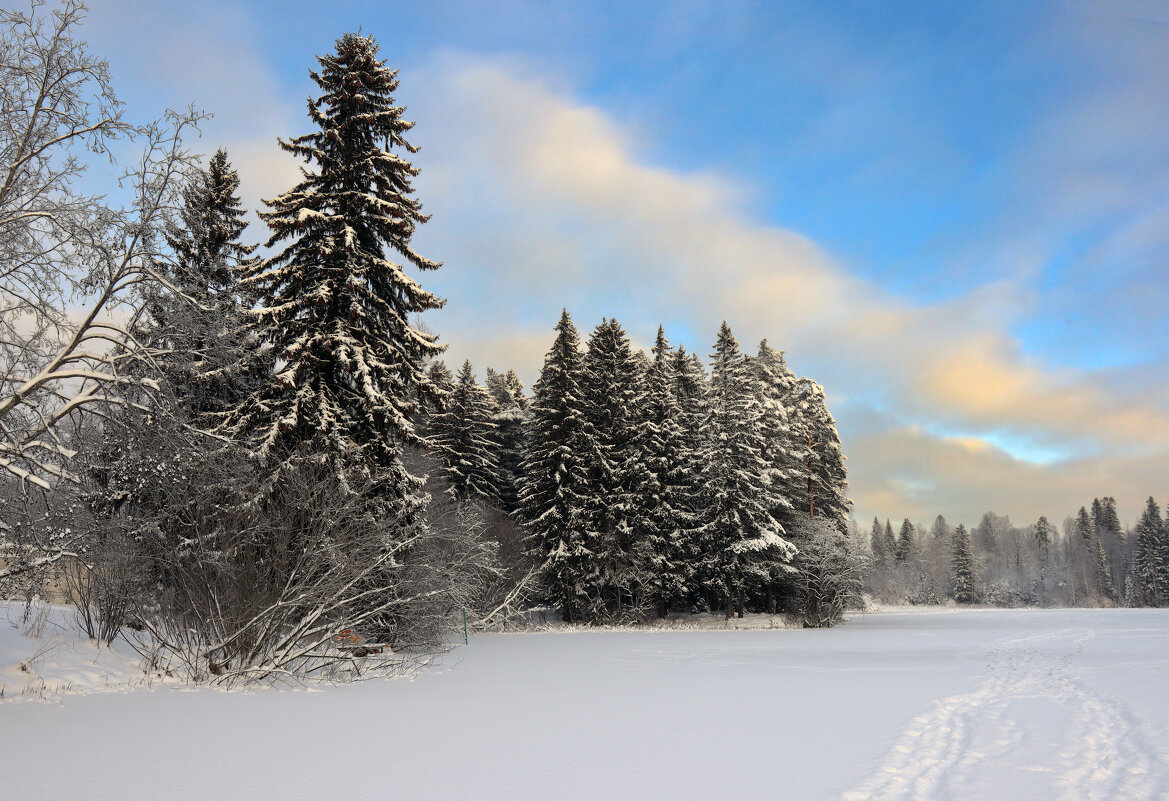 Вартемяги - skijumper Иванов