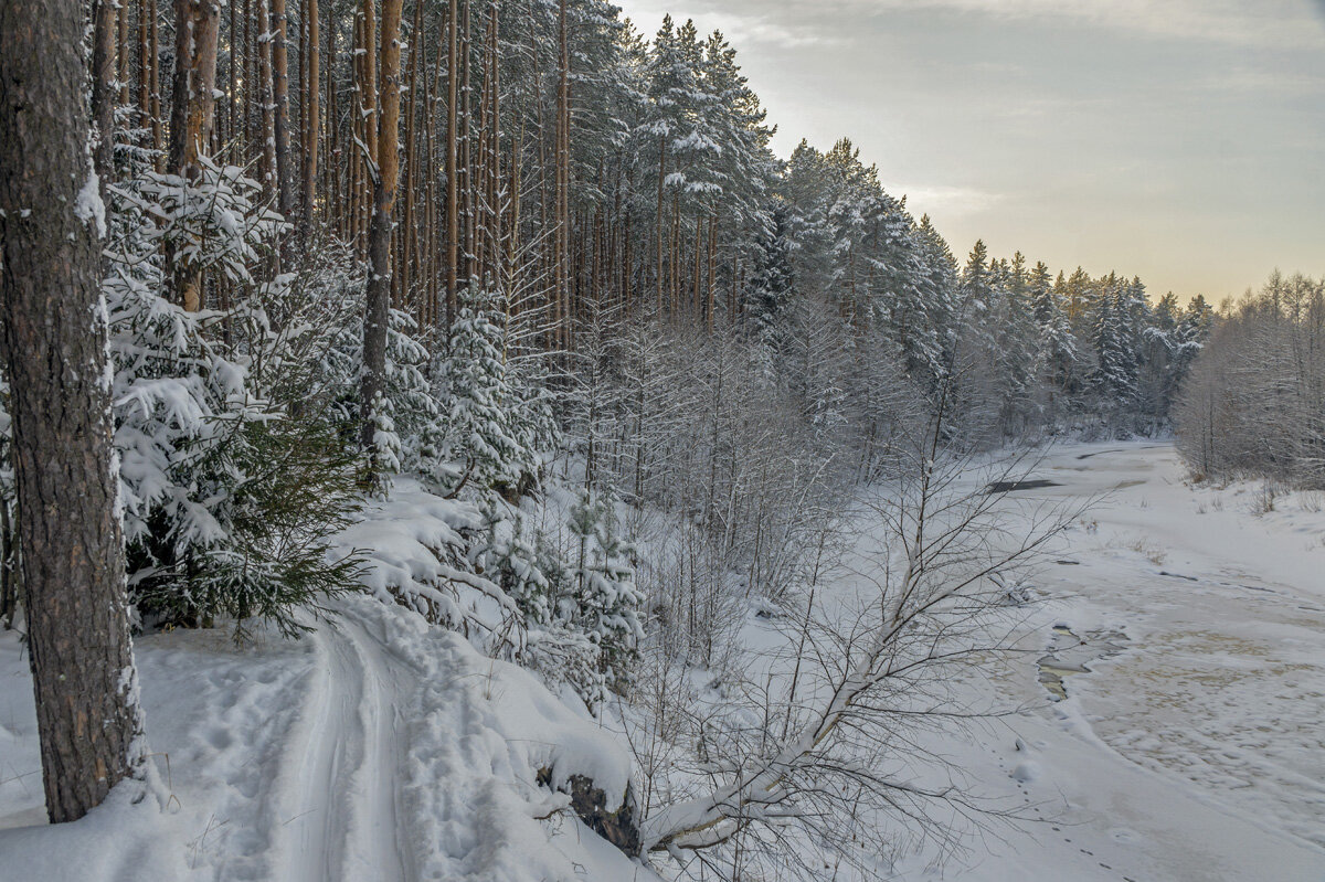 127 - Александр Иванович Шитов 127 - Александр Иванович Шитов