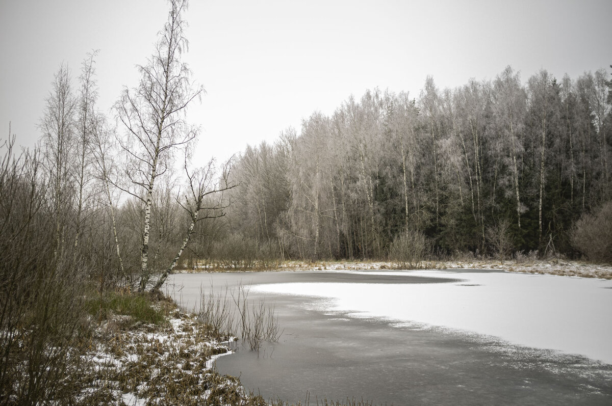 Озерцо - Николай Галкин Озерцо - Николай Галкин
