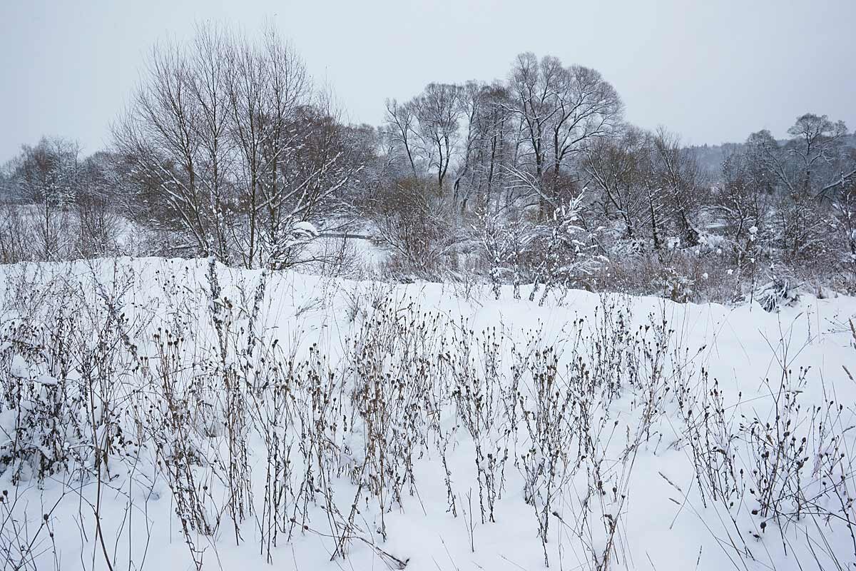 Предновогодний пейзаж - Сергей Курников Предновогодний пейзаж - Сергей Курников