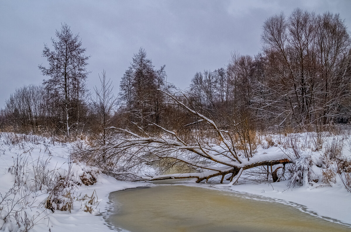 Перед новым годом 3 - Андрей Дворников