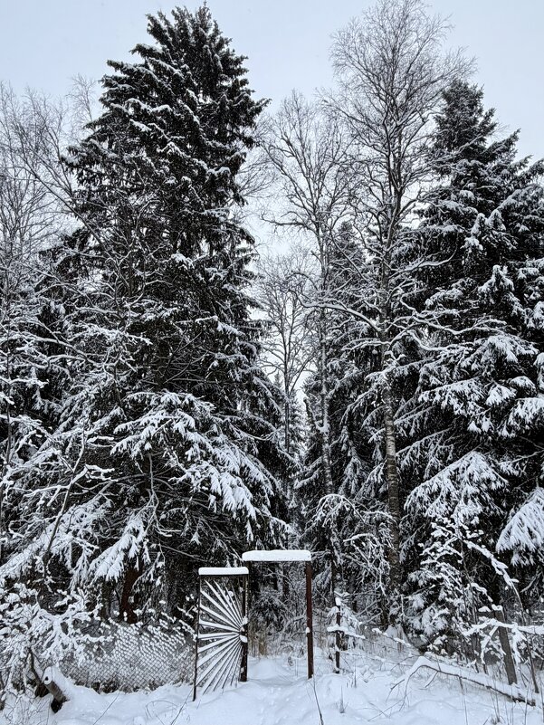 Портал в зимнюю сказку - Любовь Портал в зимнюю сказку - Любовь