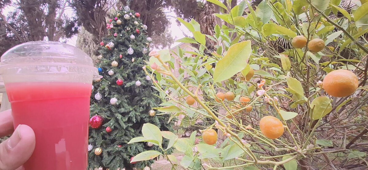 13  ОПЕН (798) - OPEN WAYS ALL