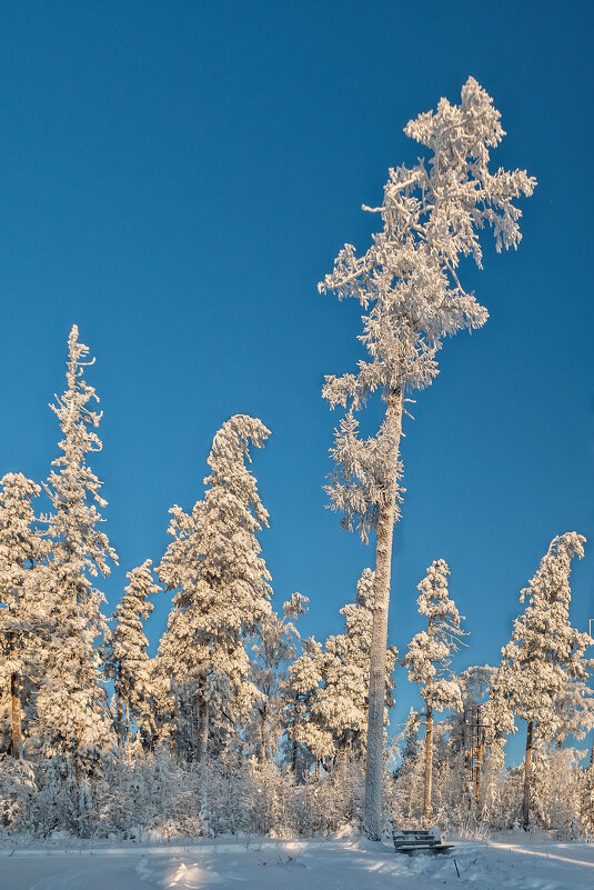 ******* - Вячеслав Овчинников