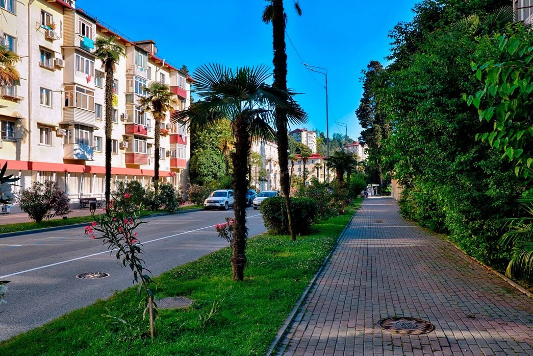 Улица 50 лет СССР. Хоста - Mikhail Irtyshskiy Улица 50 лет СССР. Хоста - Mikhail Irtyshskiy