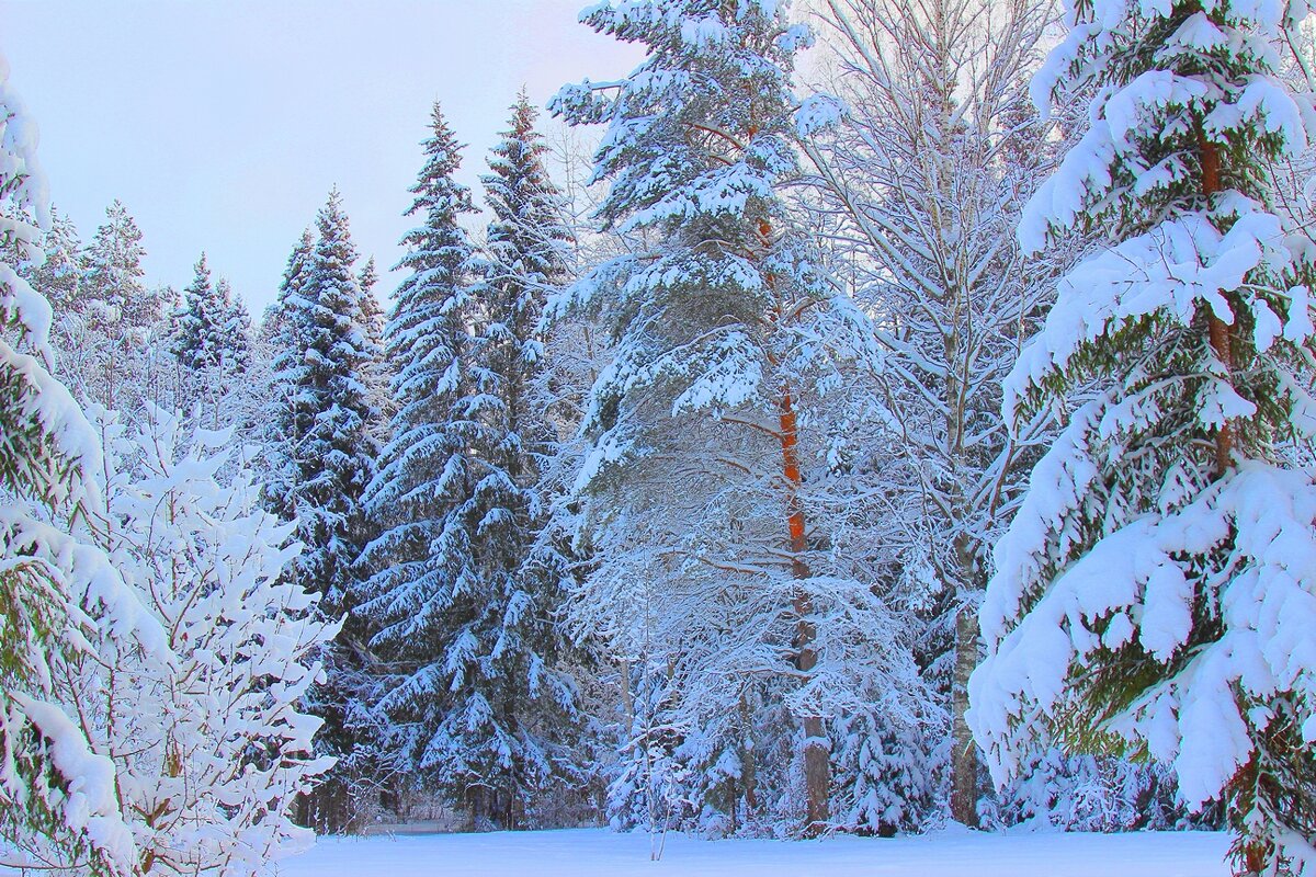 зима - Владимир иванов