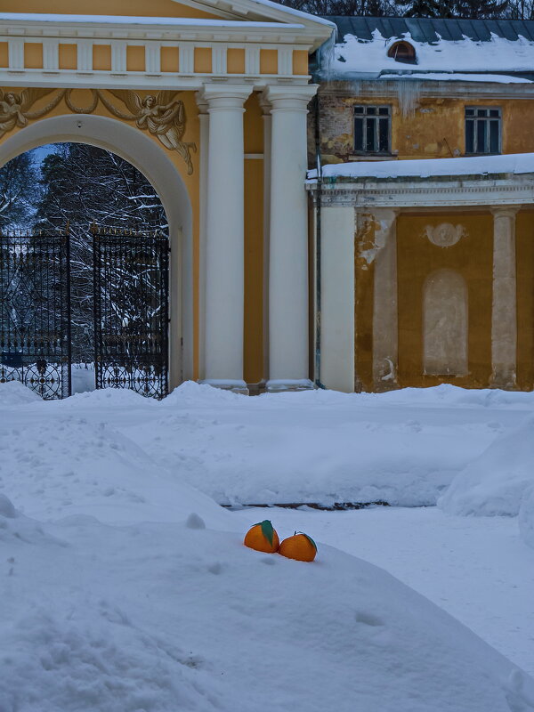 Мандарины на снегу - Наталья Rosenwasser
