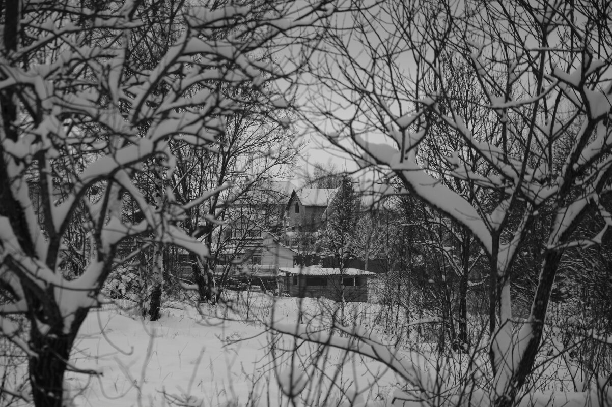 Среди веток деревьев - Мария Яковлева