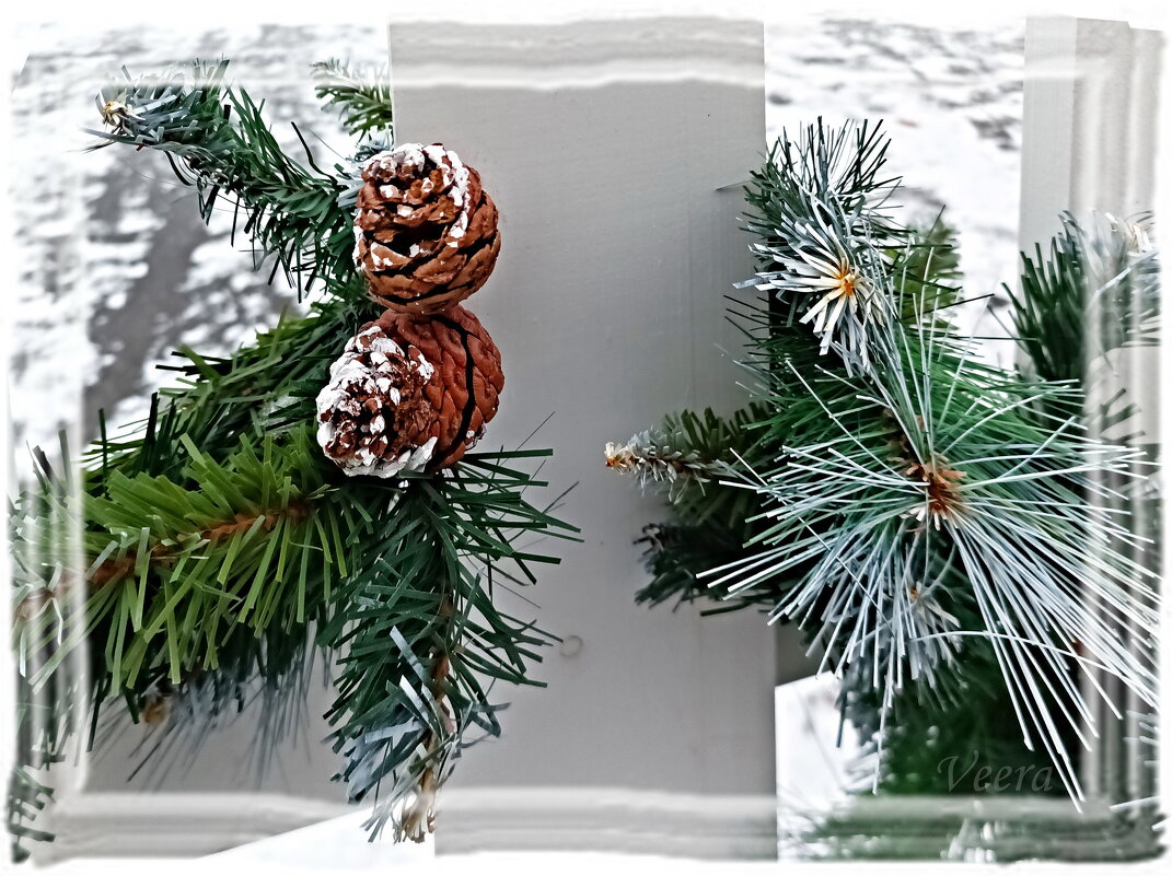 Веточки - Veera V